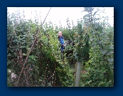 See what I mean? If I sat down..........